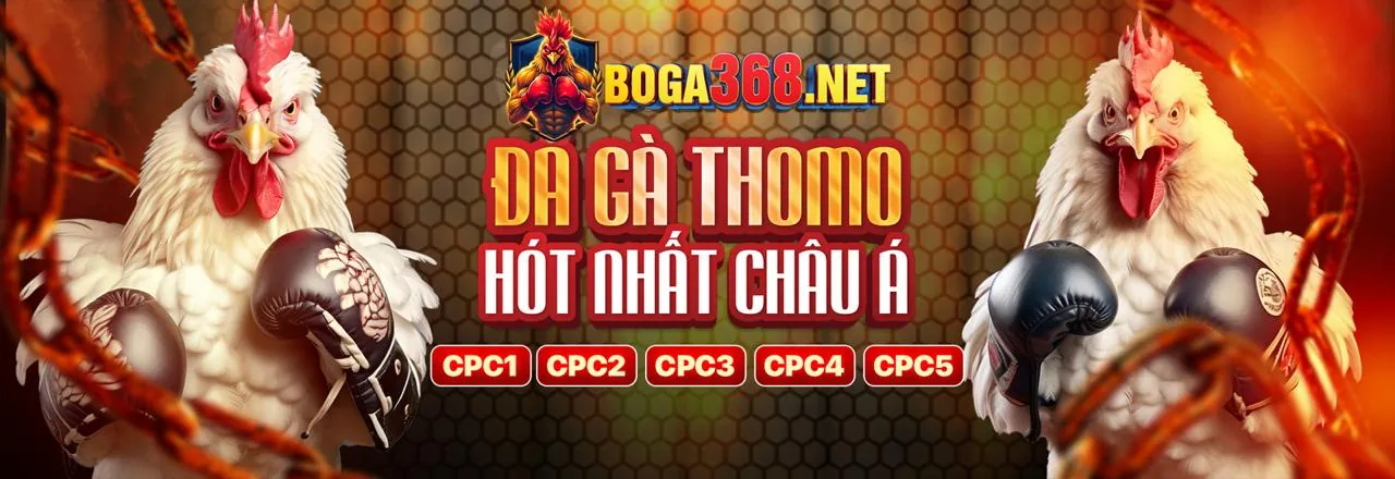 Hoàn trả hàng ngày không giới hạn