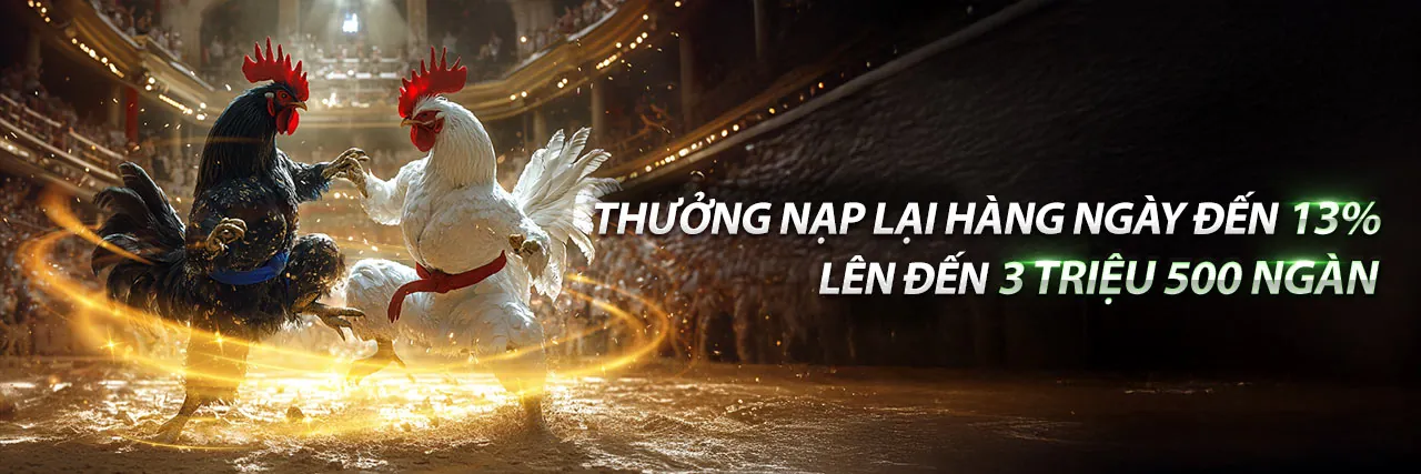 Đá Gà Trực Tuyến qq888