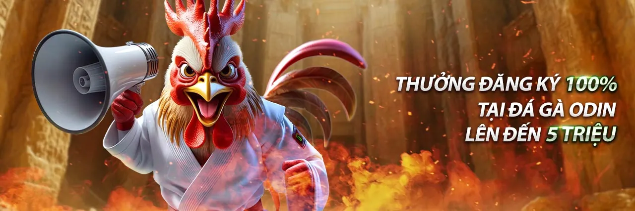 Giao diện nền tảng M88 với các tính năng và lợi ích