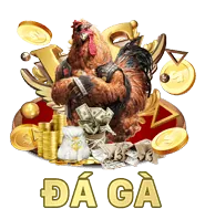 Hoàn trả thể thao qq888